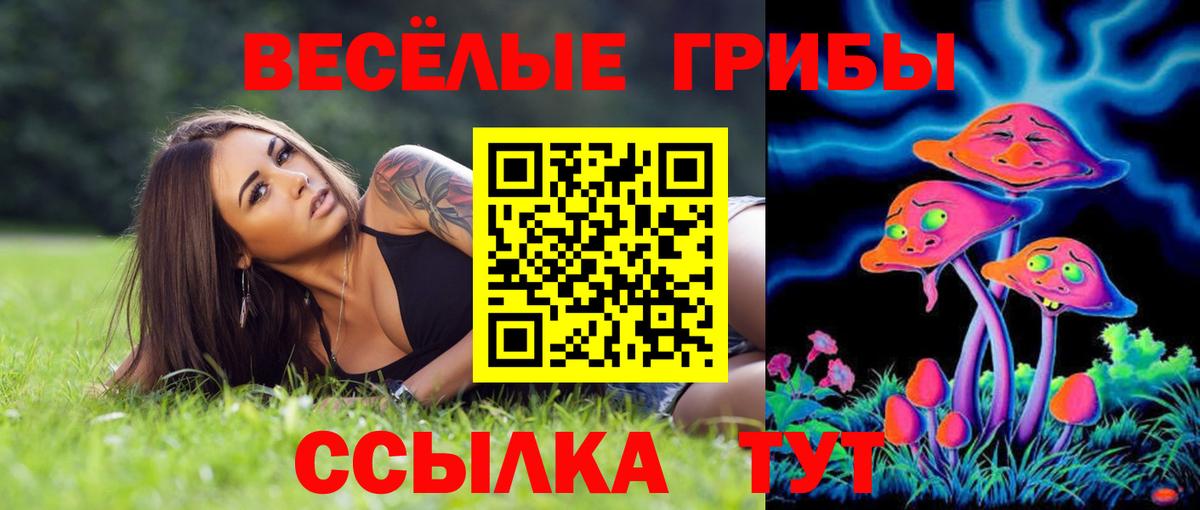Псилоцибиновые грибы MAGIC MUSHROOMS  Вход с VPN  Арзамас 