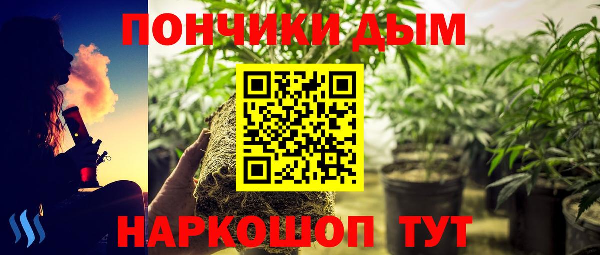 Бошки Шишки LSD WEED  Марихуана THC 21%  Арзамас  Вход с VPN 